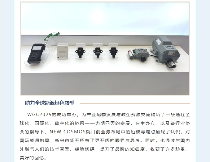 赋能可持续未来！热烈庆贺新宇宙集团WGC2025参会圆满成功！(图8)